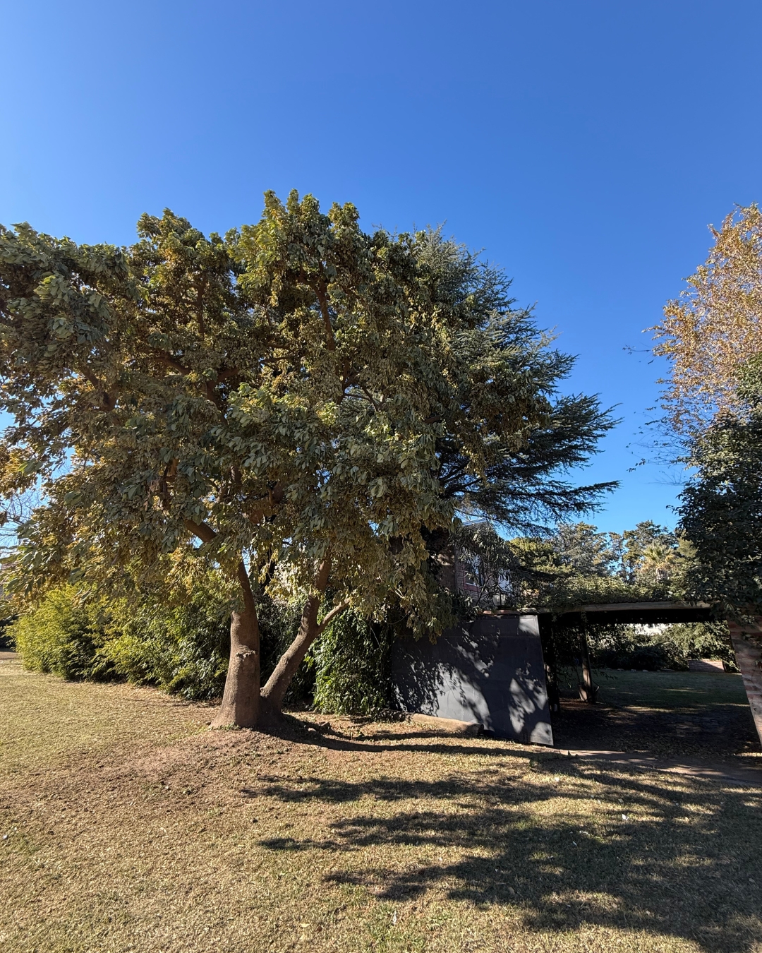 Casa de dos plantas con parque forestado
