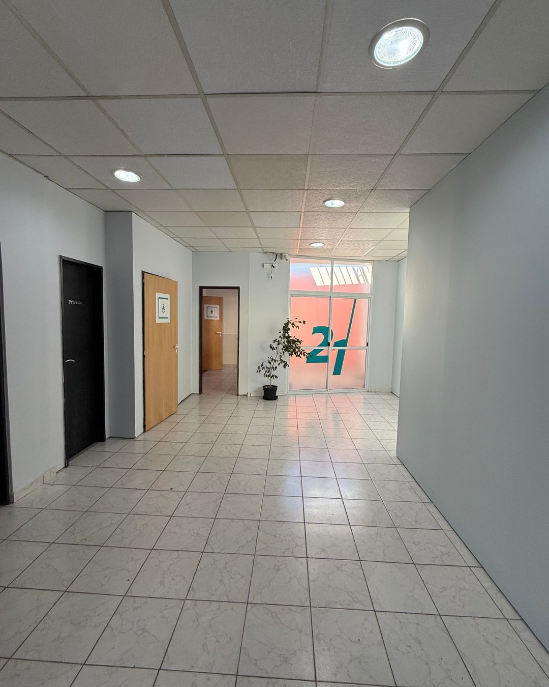 Salón Comercial con oficinas