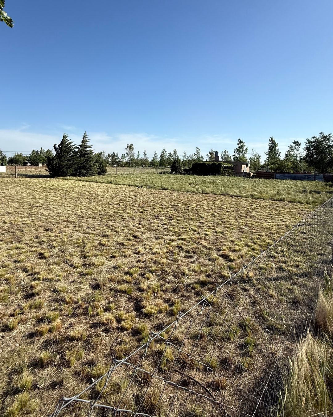 Terreno en B° Devoto, Speluzzi